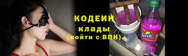 ПСИЛОЦИБИНОВЫЕ ГРИБЫ Бородино