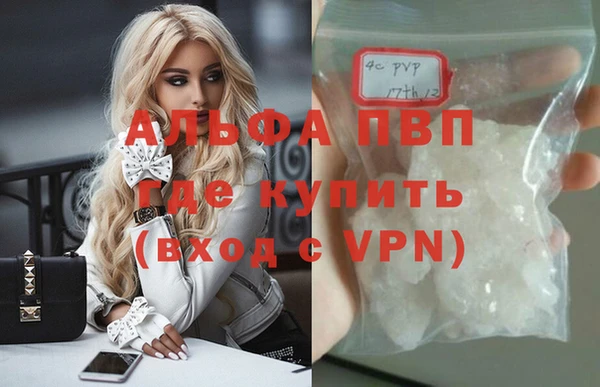 ПСИЛОЦИБИНОВЫЕ ГРИБЫ Бородино