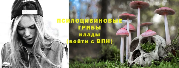 ПСИЛОЦИБИНОВЫЕ ГРИБЫ Бородино